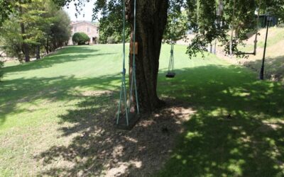 Speciale PONTE 8 DICEMBRE in Agriturismo con altalene sugli alberi a Perugia